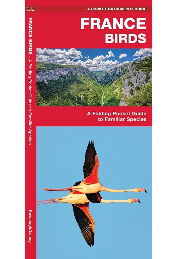 France Birds: A Folding Pocket Guide to Familiar Species (Nature